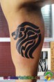 /album/tatuagens/dsc02237-jpg/