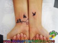 /album/tatuagens/a578457-599012410128692-615484654-n-jpg/