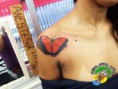 /album/tatuagens/a1011002-606225306118982-1324530485-n-jpg/