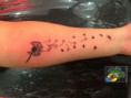 /album/tatuagens/a10269551-636542039753975-6588335535586802057-n-jpg/