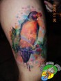 /album/tatuagens/a10410932-977939772235952-552285995413554190-n-jpg/